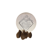 Pinecone Fire Starters
