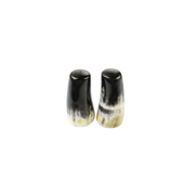 Black Horn Salt & Pepper Shaker