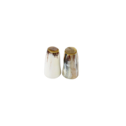 Horn Salt & Pepper Shaker