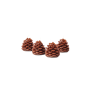 Wee Cones
