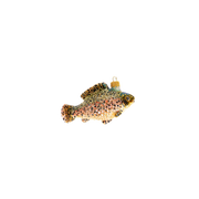 Rainbow Trout