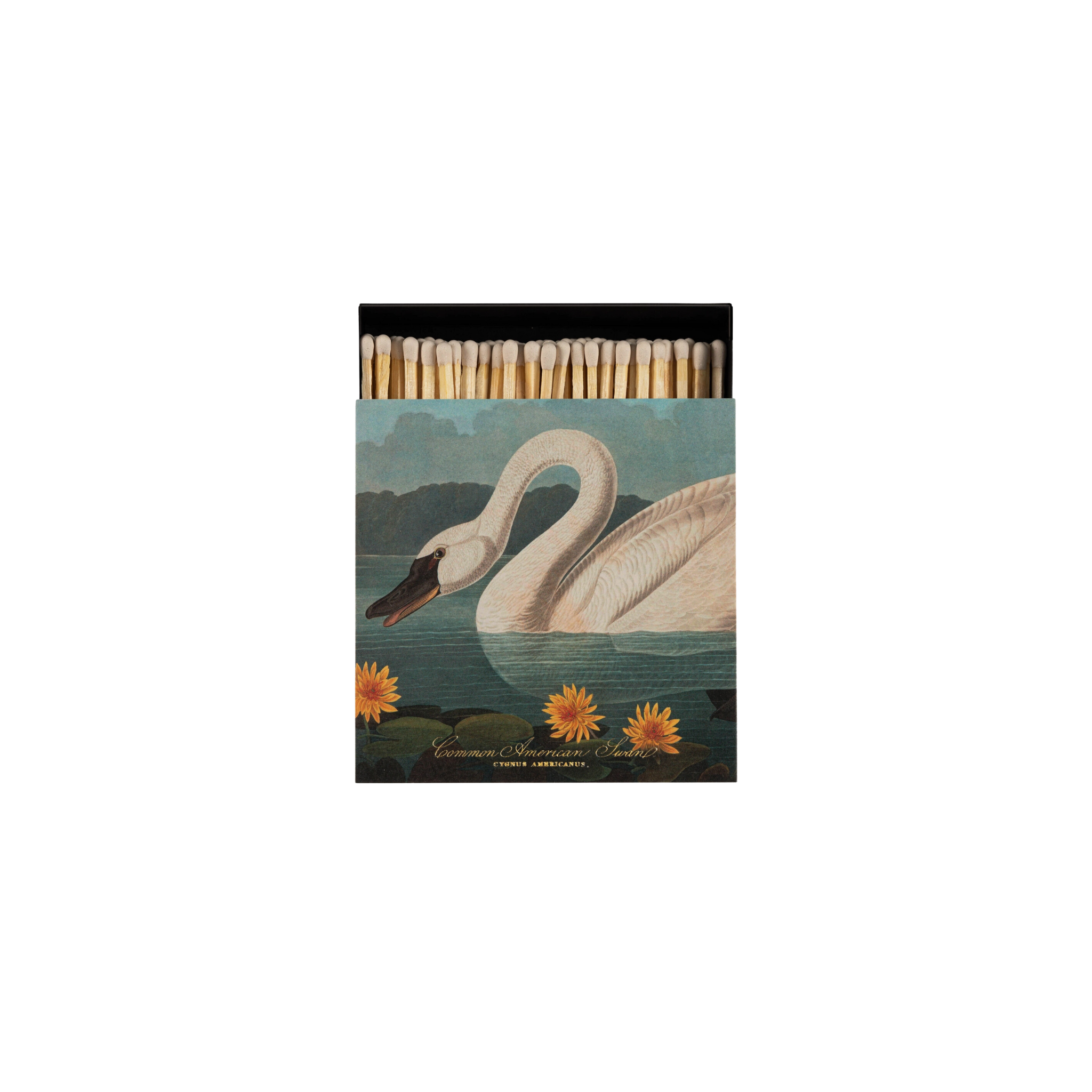 Swan Matchbook