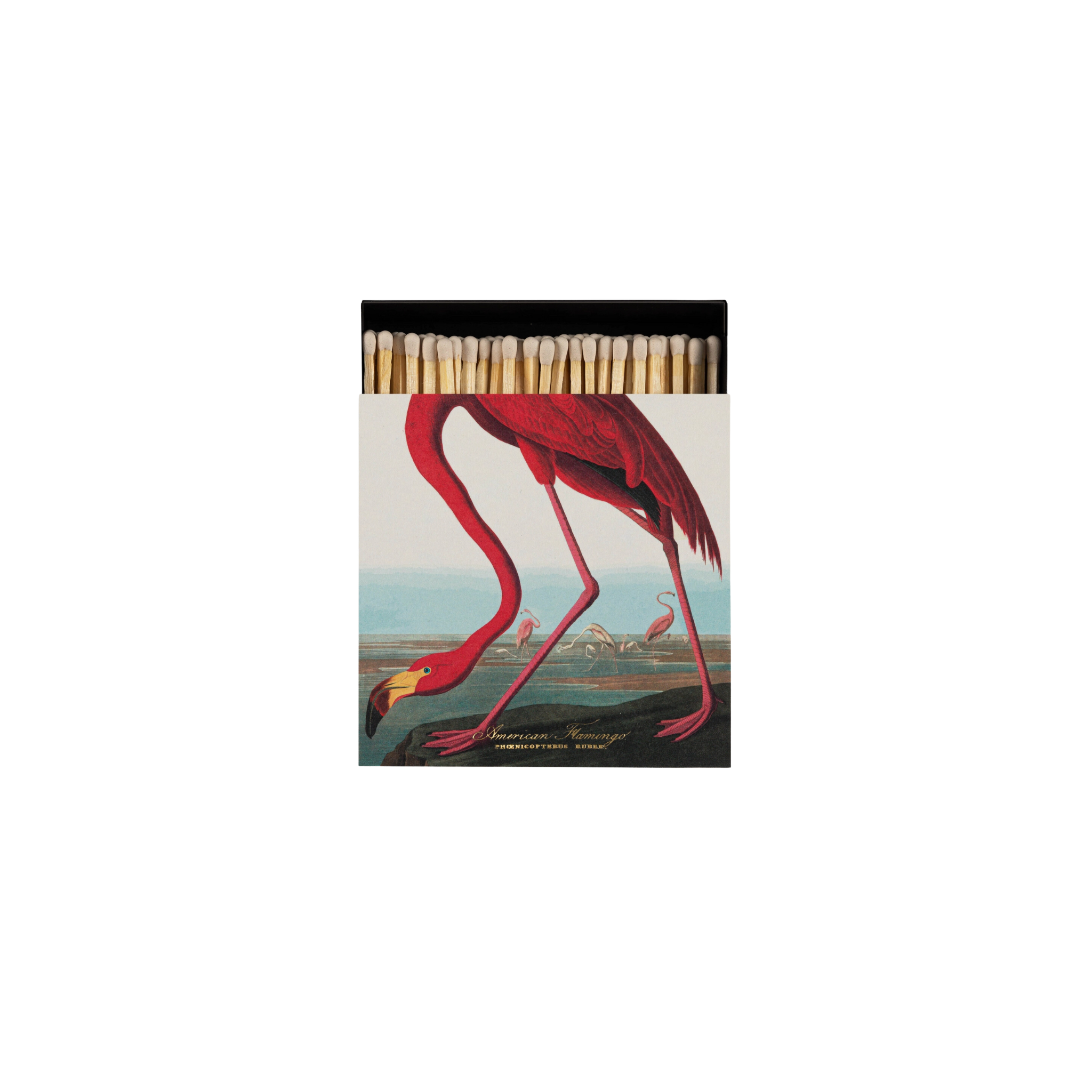 Flamingo Matchbook